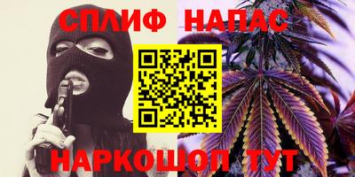 apvp Нальчик