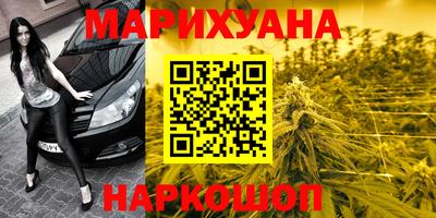 apvp Нальчик