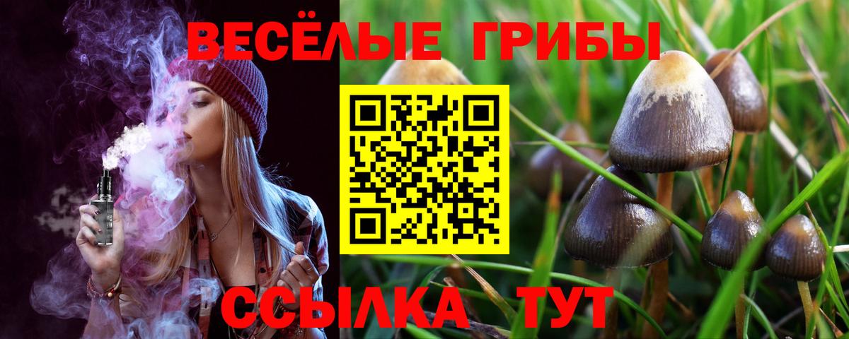 Псилоцибиновые грибы Magic Shrooms Тобольск